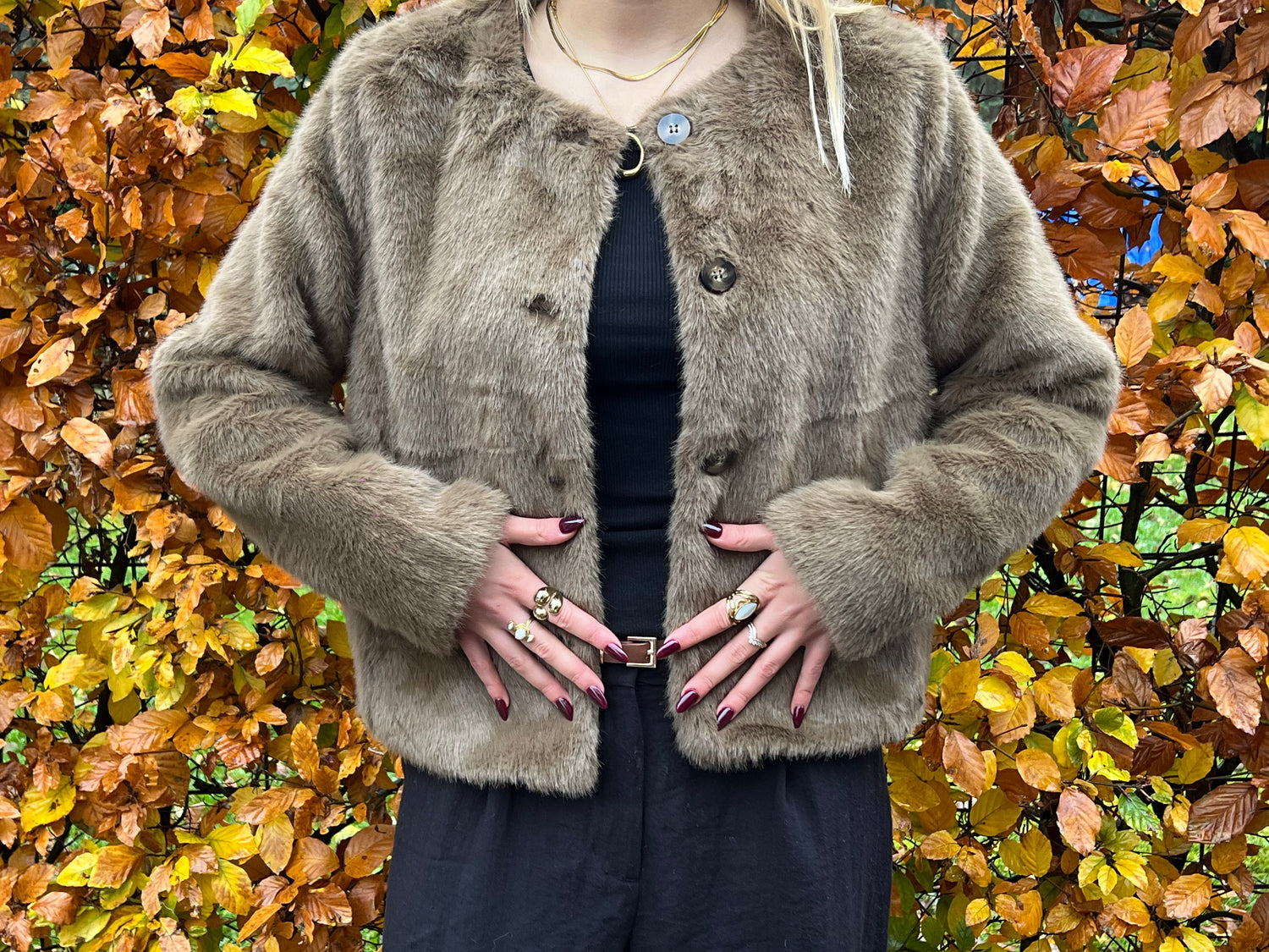 Teddy Fur Jacket